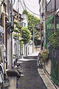 风住尘香花已尽全文顾云湘邵齐渊