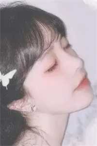 金元宝成精后,被弃婚了全篇