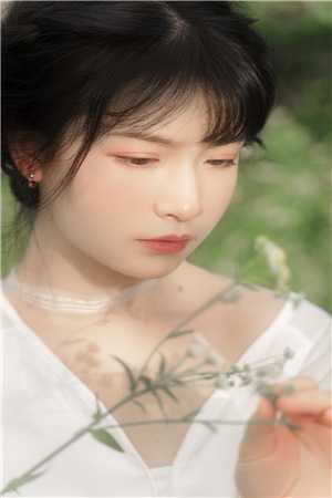 三十而立，这破府老娘不伺候了热门小说秋月苏离