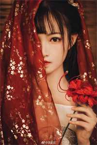 黑莲花驾到，不想谈情只想晋升小说宁司寒林妩完结版