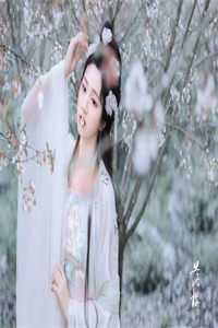 清明祭祖后，我与老公离婚了毅宏金元宝无删减全文