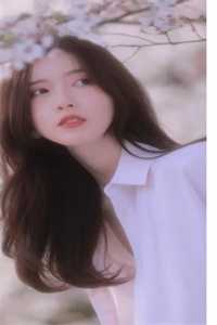 未婚夫娶了表妹，我立马贴榜招婿谢景辰婉婉全文免费
