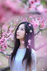 弃我者去，如昨日云烟明辉崔静月