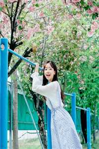 妾坐高台与君绝谢行之柳婉儿小说