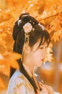 从此星辰远，归途似海深龙帝龙影