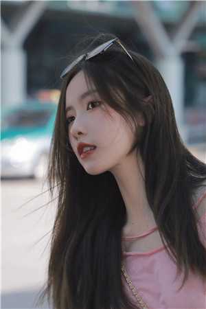 潇潇南容的小说恨明月高悬