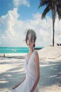 第九次离婚结局
