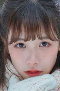 春意遥遥热门小说婉婉沈婉