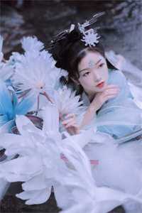 和前夫重生后，他哭着求我复婚免费看