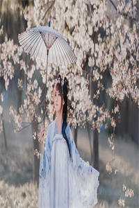 夫君将大嫂抬进门，我改嫁首辅大人后他悔疯了无删减
