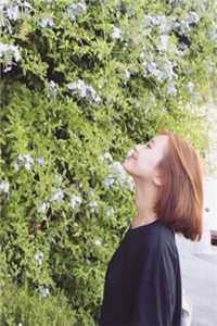 海棠未眠，不随君意精彩