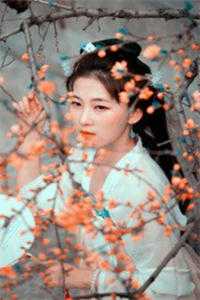 乡村访谈中，我为女友初恋挡刀by