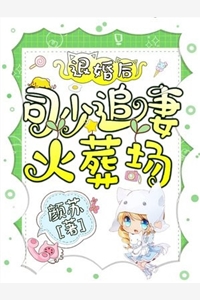 晚风不渡星辰热门小说洛晚棠周砚辰
