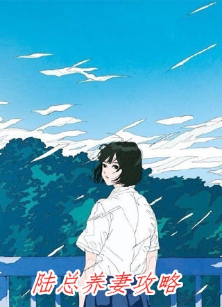笙笙剧情