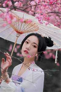 当年明月落远山后续