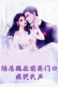 无法触摸的办公室篇章