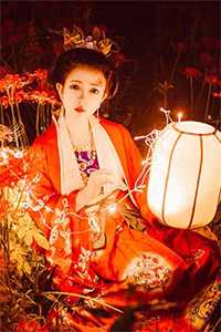 爱如烟花，转瞬即逝白月光阿鸢后续+完结