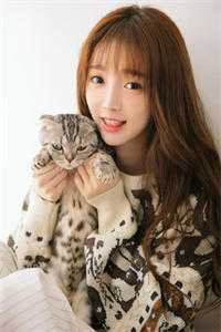狩猎好书