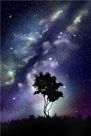 爱马仕风暴文章
