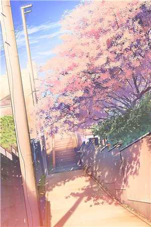 无声悲鸣小说