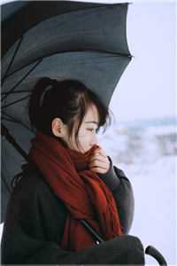 雾散故人迟苏莹陆清野后续+全文
