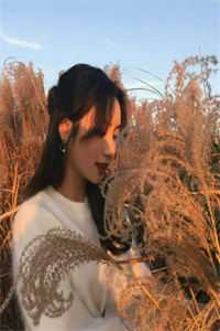 寒风如刀，绝情如你免费