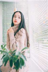 女儿被赌初夜归谁,我杀疯了免费